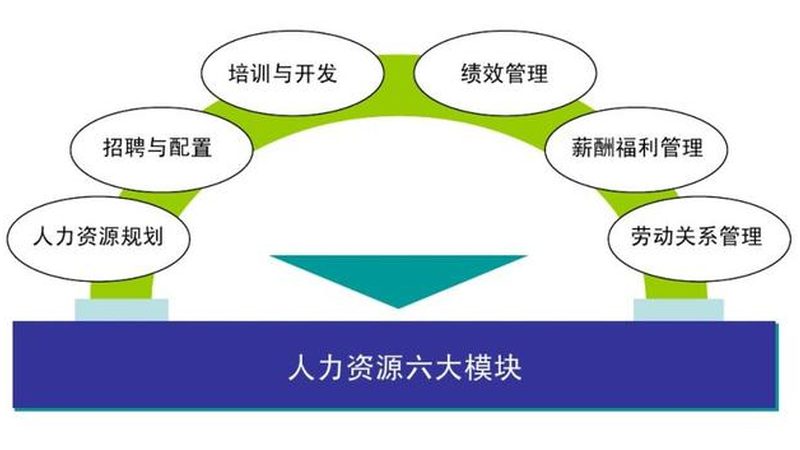 人力资源数字化解决方案：赋能企业高效管理之道